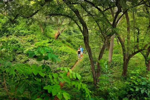Thekkady Honeymoon Package